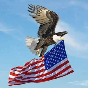 Meet your Posher, Bradley